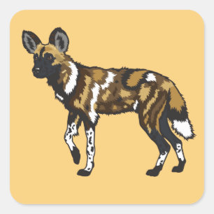African wild dog. Wild Africa Square Sticker