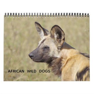 AFRICAN WILD DOGS CALENDAR