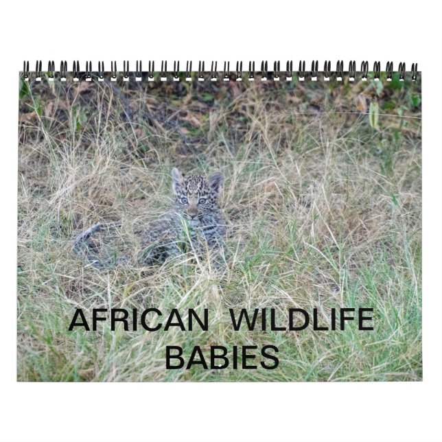 AFRICAN WILDLIFE BABIES calendar (Cover)