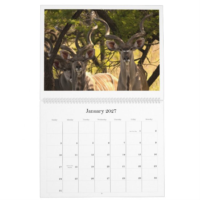 African Wildlife Calendar (Jan 2027)