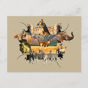 African Wildlife Frame Eland Mountain Postcard