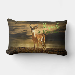 African Wildlife Impala in River-bed Lumbar Cushion