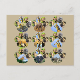 African Wildlife Lion Pawprint 9 Collage Postcard