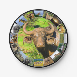 African Wildlife Photo Collage Muddy Buffalo Paper Plate