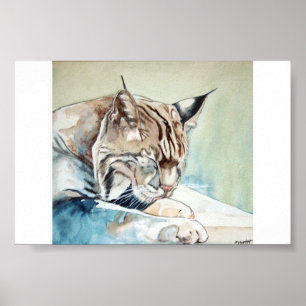 AFter Dinner Washup - Bobcat Poster