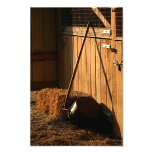 After Evening Chores Photo Print