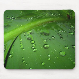 After rain mouse pad