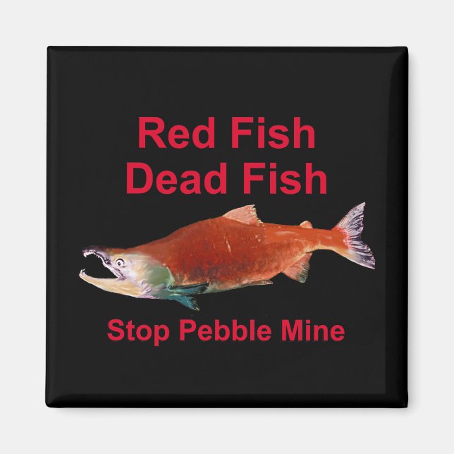 After Salmon - Stop Pebble Mine Magnet (Front)