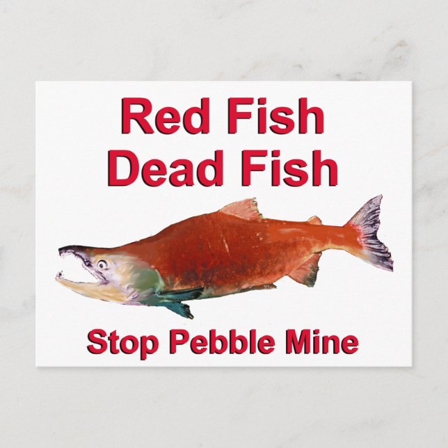 After Salmon - Stop Pebble Mine Postcard (Front)