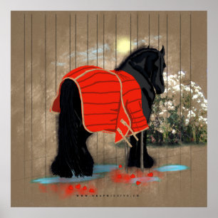 After The Grooming - Poster