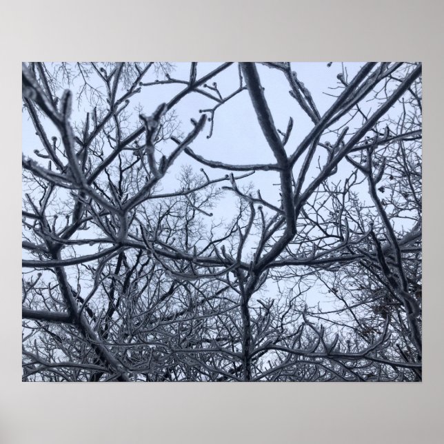 After The Ice Storm Poster (Front)