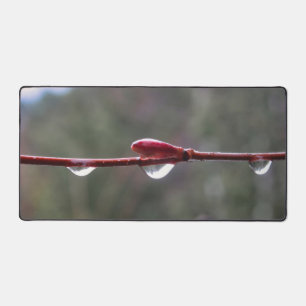 After the Rain Desk Mat