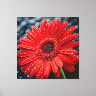 After the Rain Gerbera Daisy Realism Painting Canvas Print