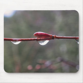 After the Rain Mouse Pad