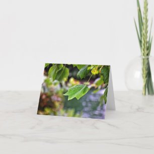 After the Rain Note Cards
