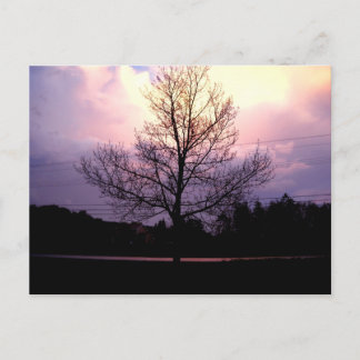 After The Rain Postcard