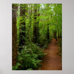 after the rain poster