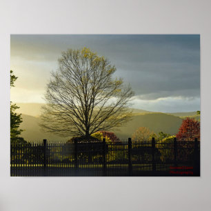 After the Rain Poster