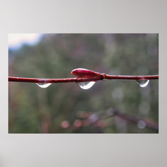 After the Rain Poster (Front)