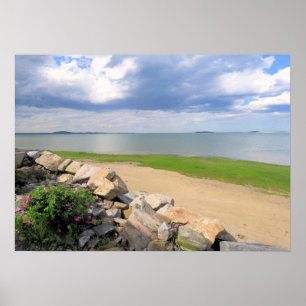 After the rainstorm - print