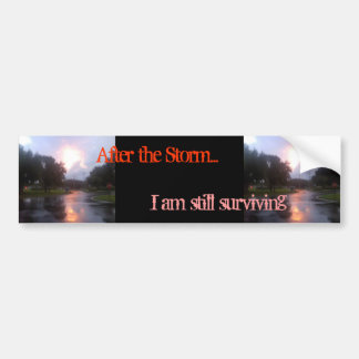 After the Storm Bumper Sticker