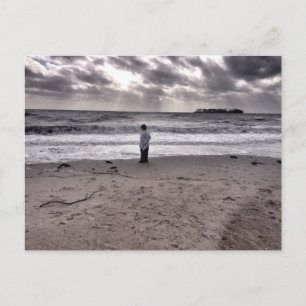 After the Storm Postcard