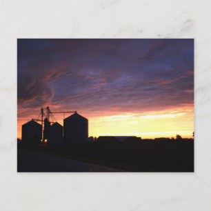 After The Storm Postcard