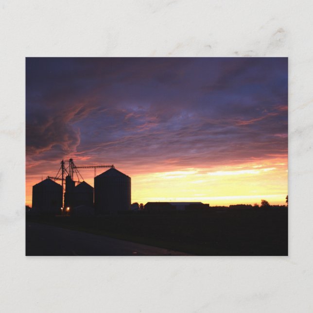 After The Storm Postcard (Front)