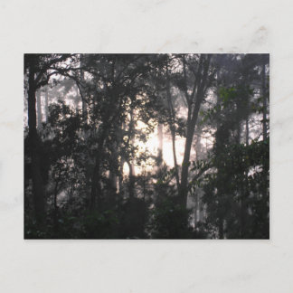 After the Storm - Postcard #2