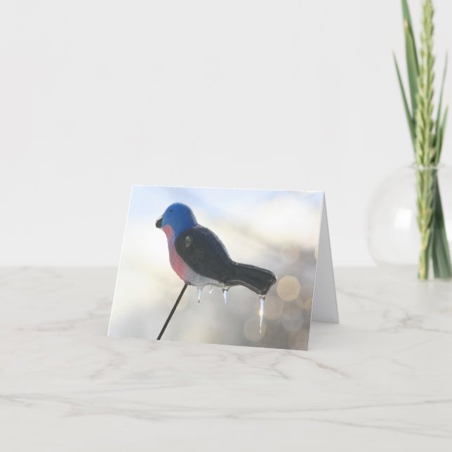 After The Storm Winter Nature Photography Note Card (Front)