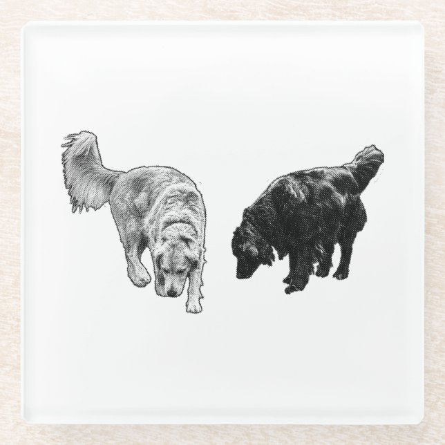 Afterglow Dot Sip — Retriever Duo Glass Coaster (Front)