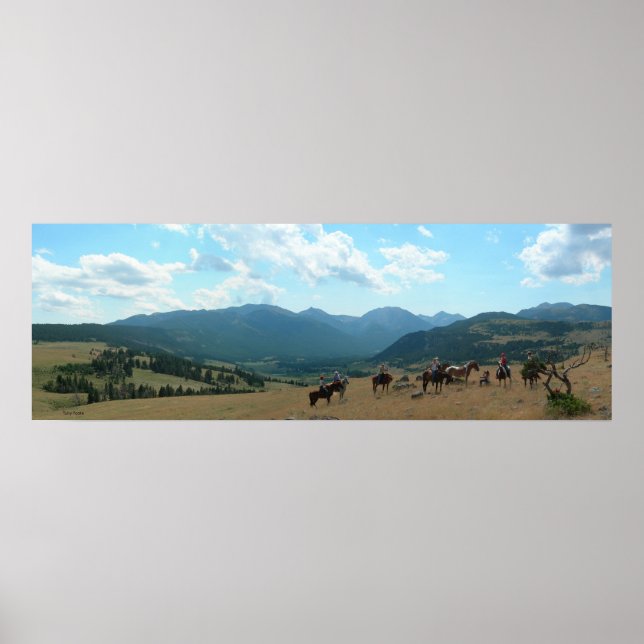 Afternoon at Sweegrass Poster (Front)