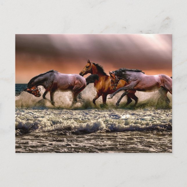 Afternoon Fun In The Surf Postcard (Front)