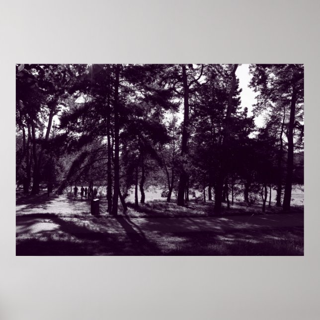 Afternoon in the Park (Purple Toned) Poster (Front)