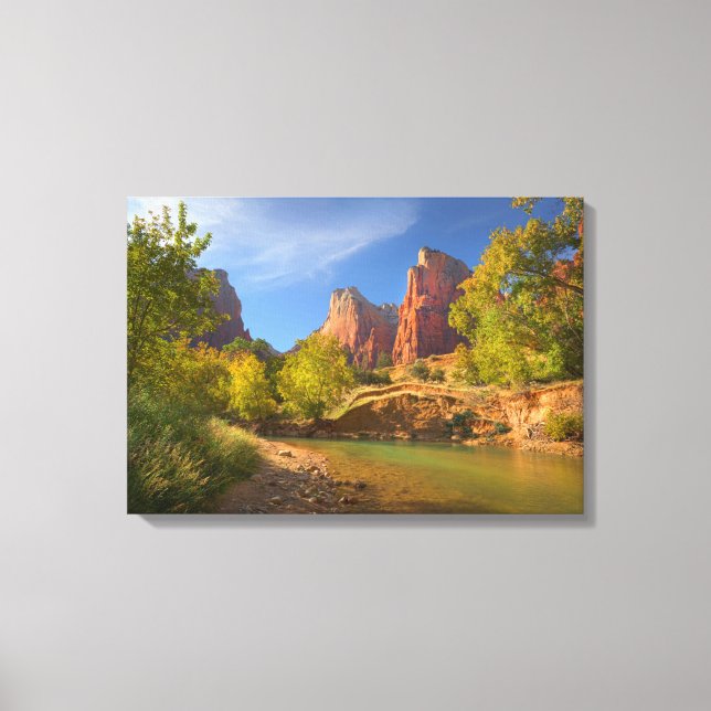 Afternoon In Zion National Park Canvas Print (Front)