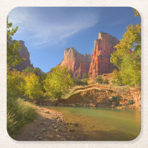 Afternoon In Zion National Park Square Paper Coaster