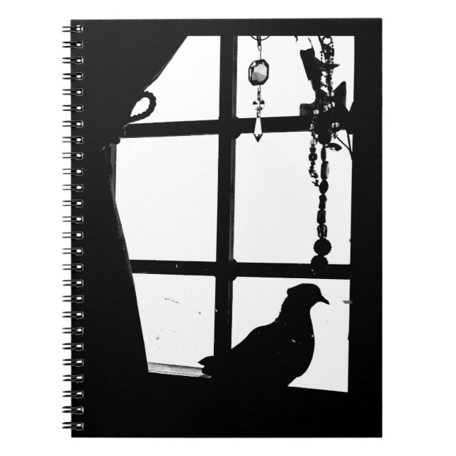 Afternoon Pigeon Spiral Notebook (Front)