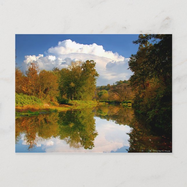 Afternoon Reflection Postcard (Front)