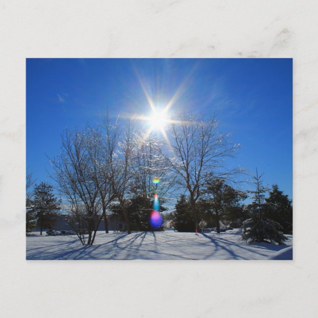 Afternoon Sparkly Sun Postcard (Front)