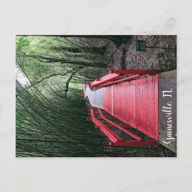 Afternoon Wandering Postcard (Front)