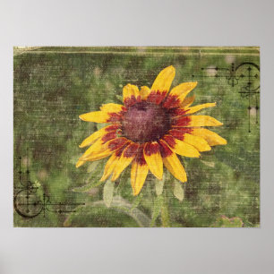 Again a Flower Poster