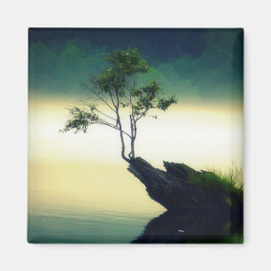 Against All Odds - Beautiful Tree Photograph Magnet