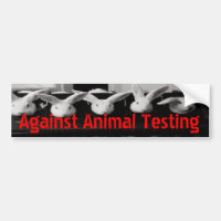 Against Animal Testing Car Bumper Sticker