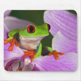 Agalychnis callidryas. mouse pad