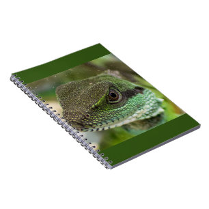 Agama, lizard notebook