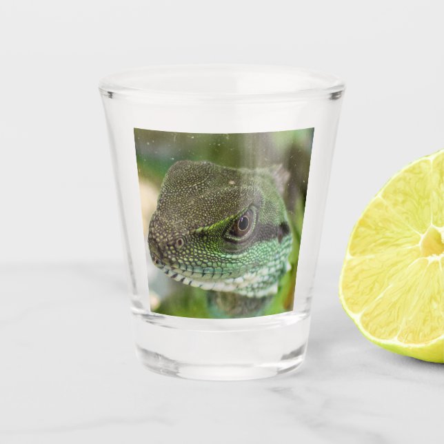 Agama, lizard shot glass (Front)