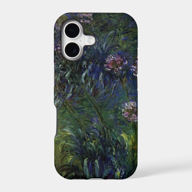 Agapanthus (Back)