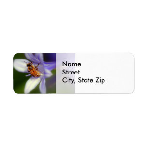 agapanthus africanus, Return Adress Label