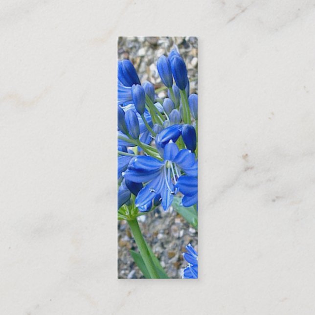 Agapanthus Bookmark Business Card (Front)