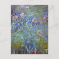 Agapanthus by Claude Monet Postcard